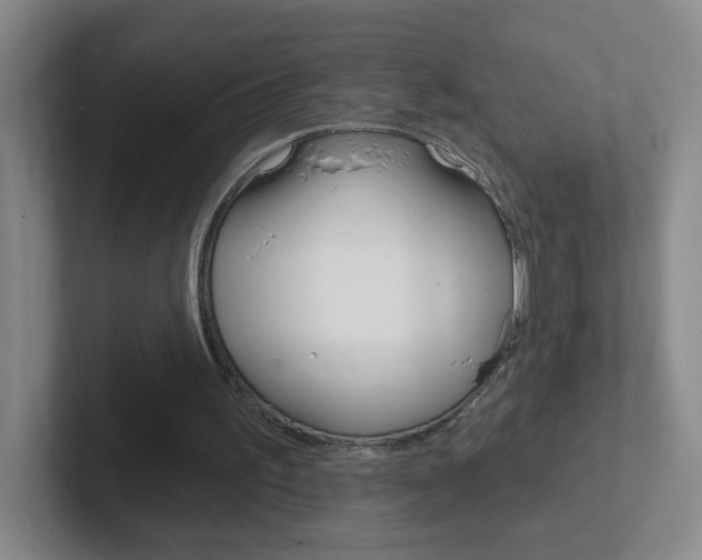 X0000102310195200807251048