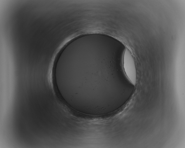 X0000102310196200807251048