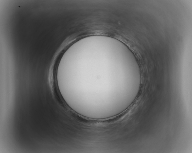 X0000102310198200807251048