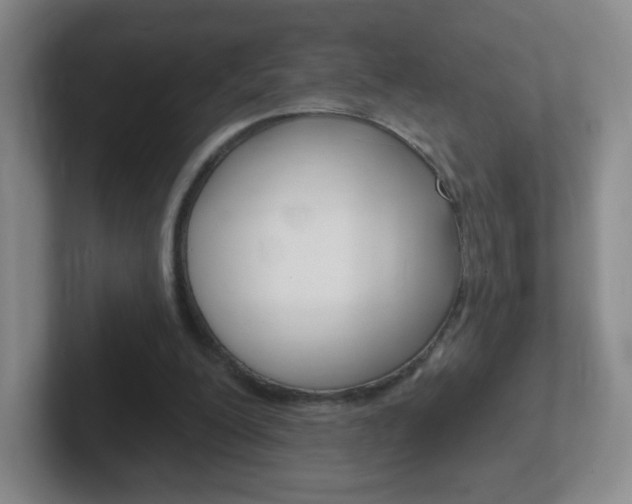 X0000102310200200807251048