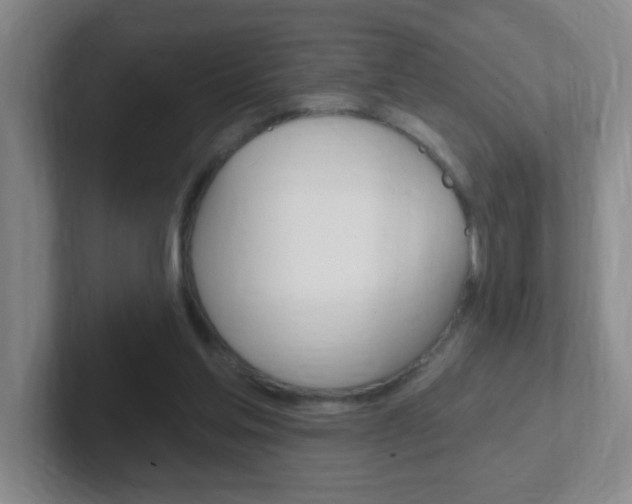 X0000102310205200807251048