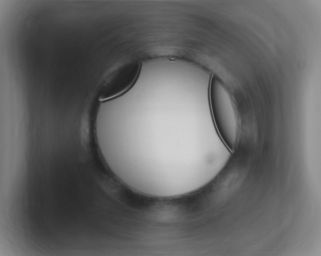 X0000102310207200807251048