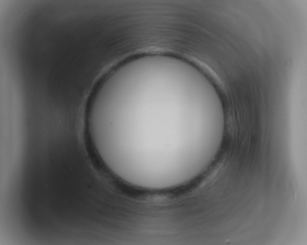 X0000102310208200807251048