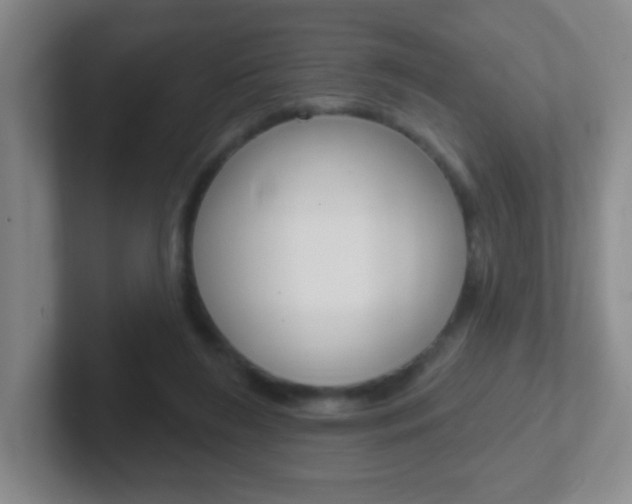 X0000102310212200807251048