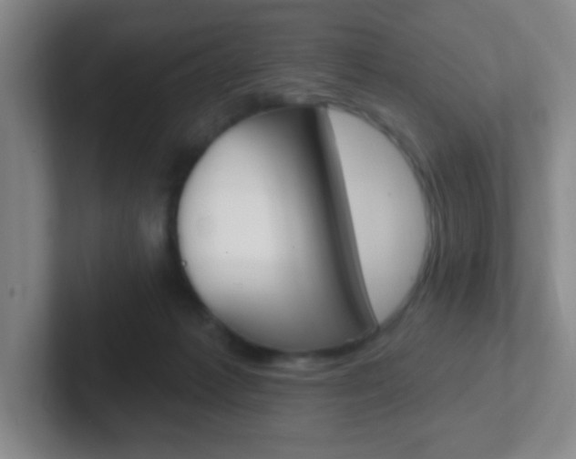 X0000102310221200807251047