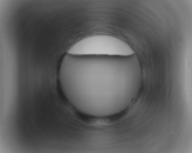 X0000102310223200807251047