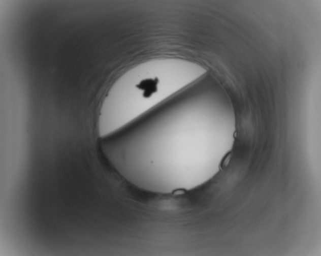X0000102310228200807251047