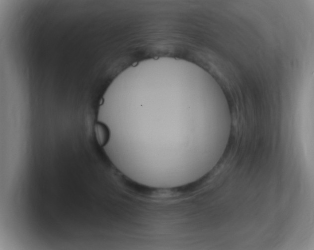 X0000102310231200807251047