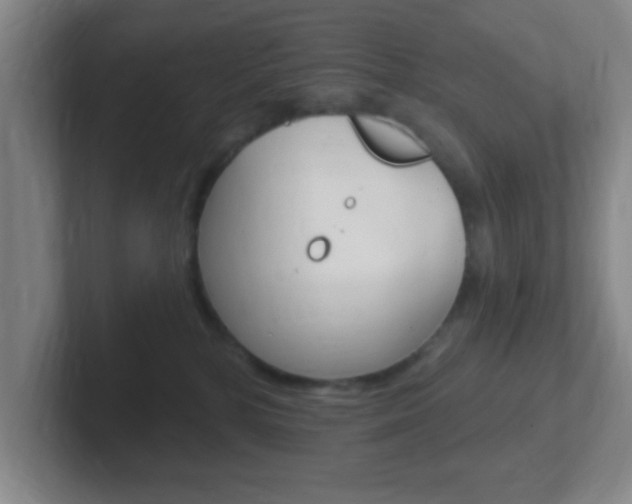 X0000102310232200807251047