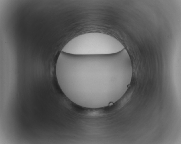 X0000102310235200807251047