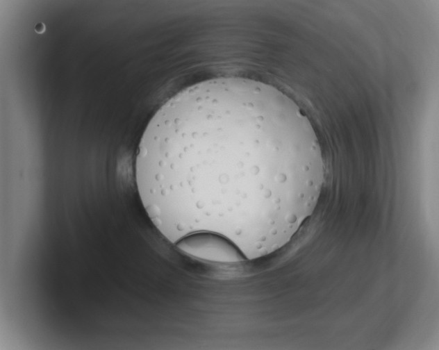 X0000102310238200807251047