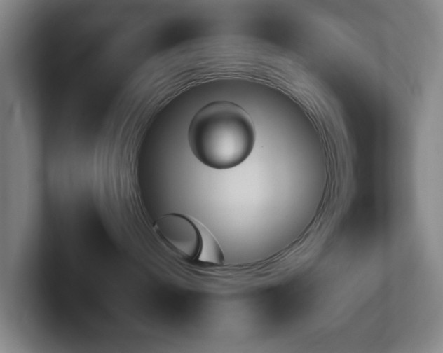 X0000102310240200807251047
