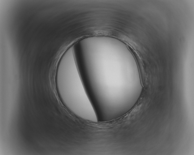 X0000102310241200807251047