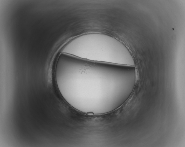 X0000102310243200807251047