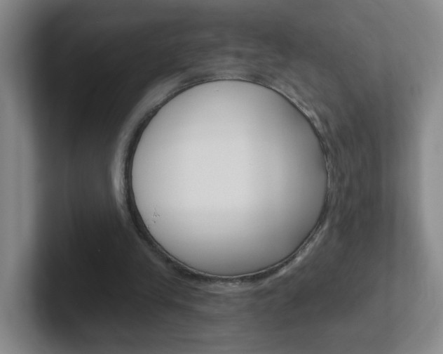 X0000102310245200807251047