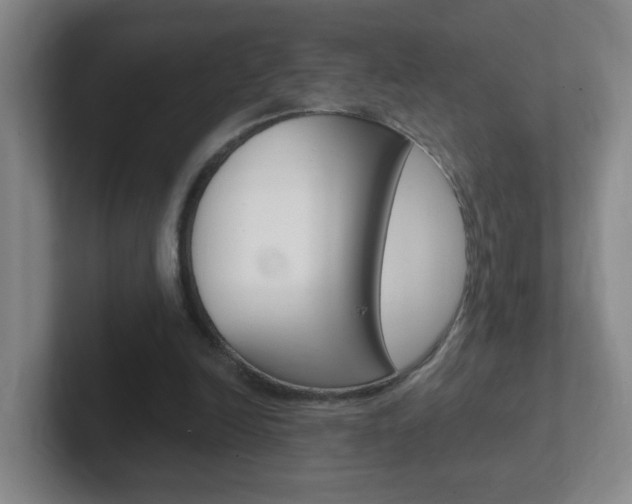 X0000102310246200807251047