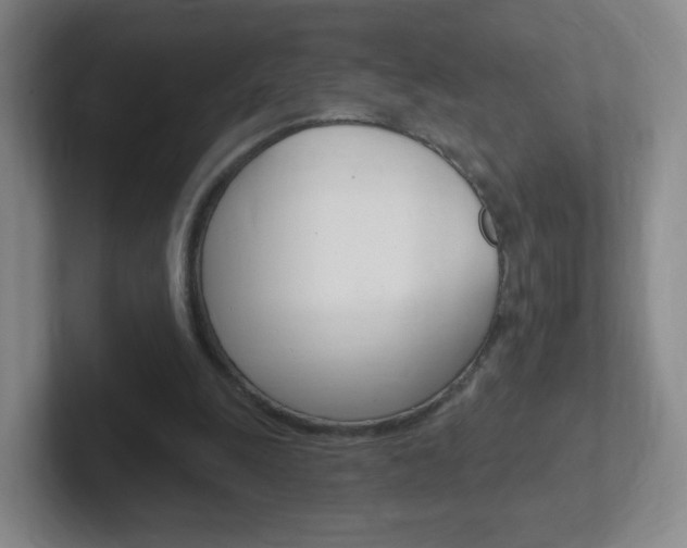 X0000102310247200807251047