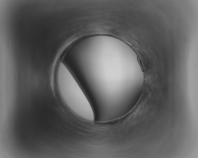 X0000102310248200807251047