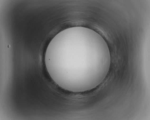 X0000102310258200807251047