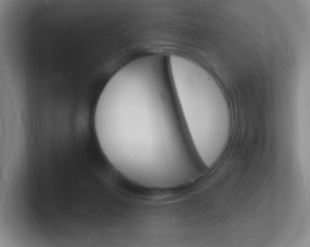 X0000102310263200807251047