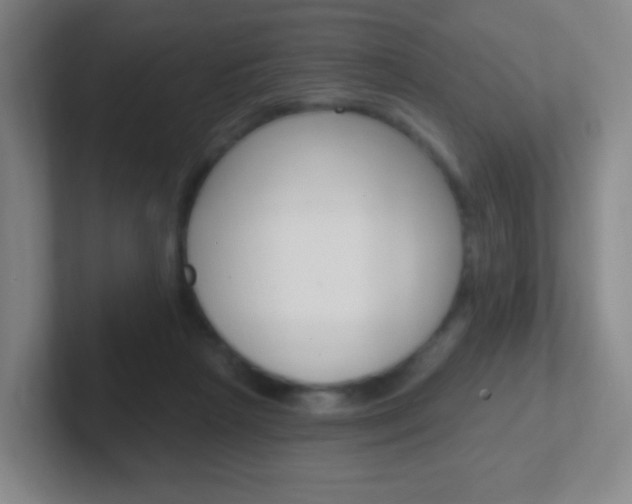 X0000102310265200807251047