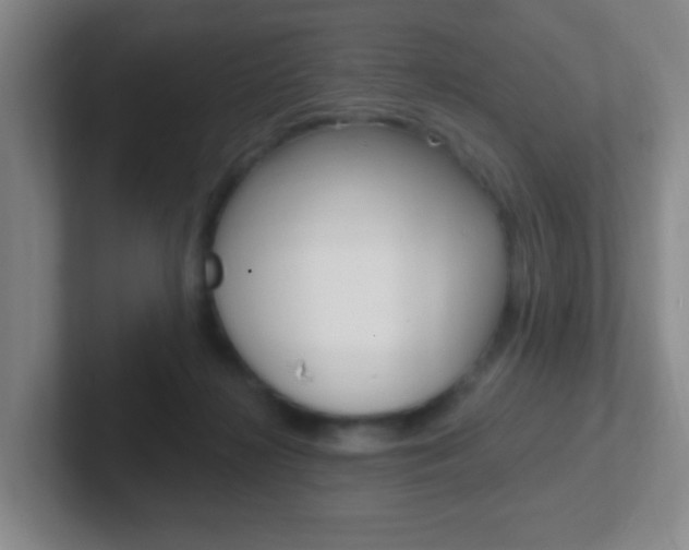 X0000102310268200807251047