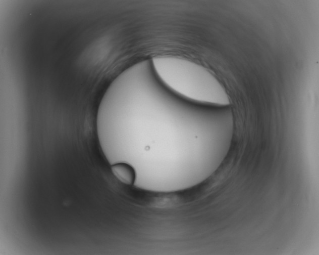 X0000102310274200807251047