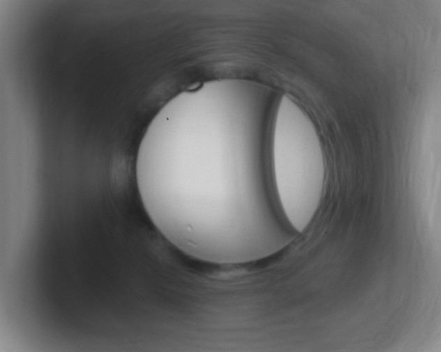X0000102310278200807251047
