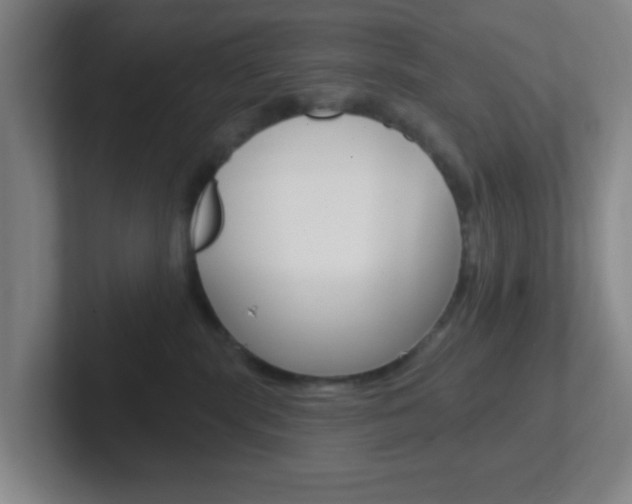 X0000102310283200807251047