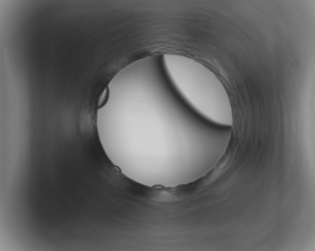 X0000102310285200807251047