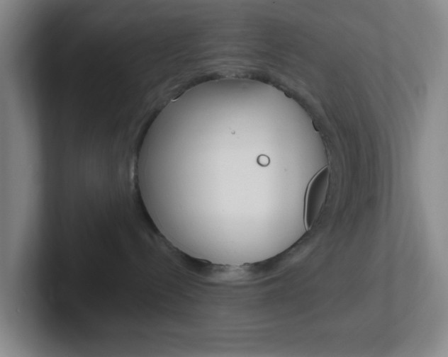 X0000102310288200807251047
