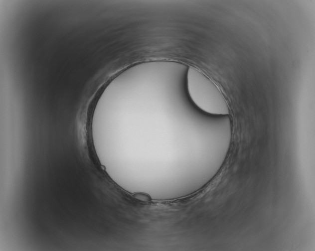 X0000102310290200807251047