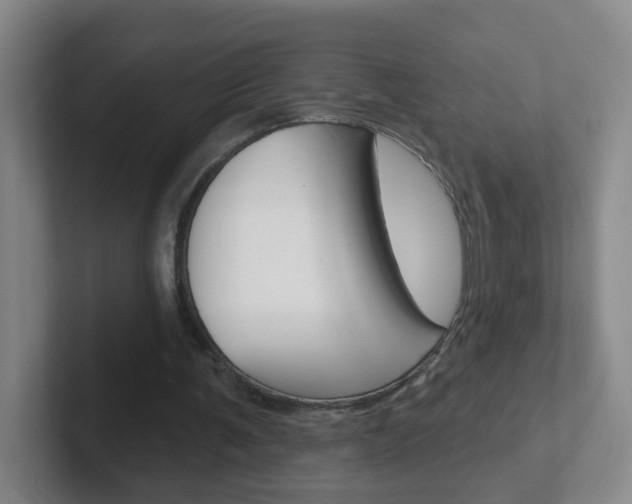 X0000102310291200807251047