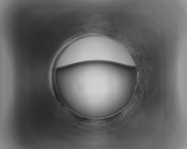 X0000102310292200807251047