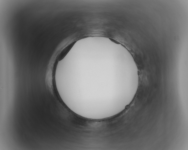 X0000102310293200807251047