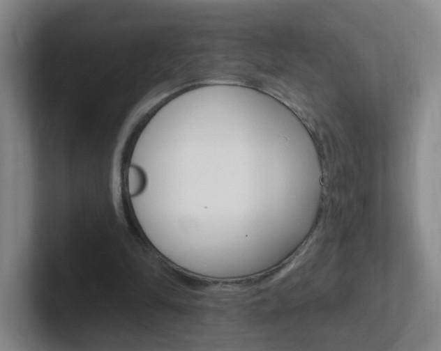 X0000102310294200807251047
