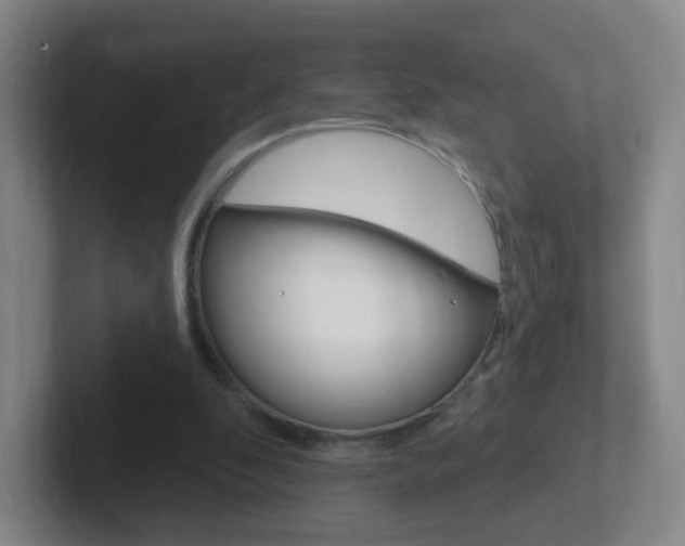 X0000102310296200807251046
