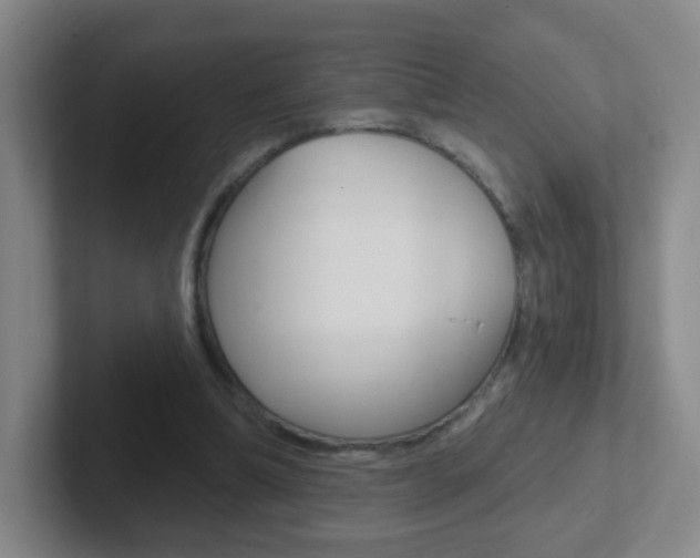 X0000102310298200807251046