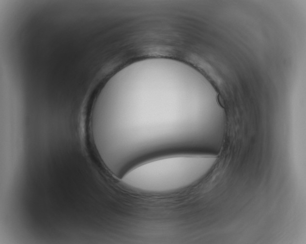 X0000102310299200807251046