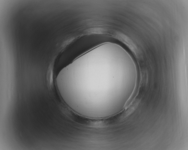 X0000102310301200807251046