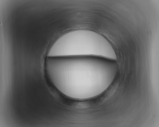 X0000102310303200807251046