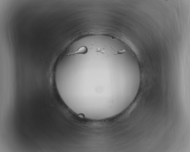X0000102310305200807251046