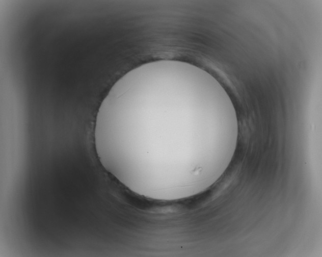 X0000102310307200807251046