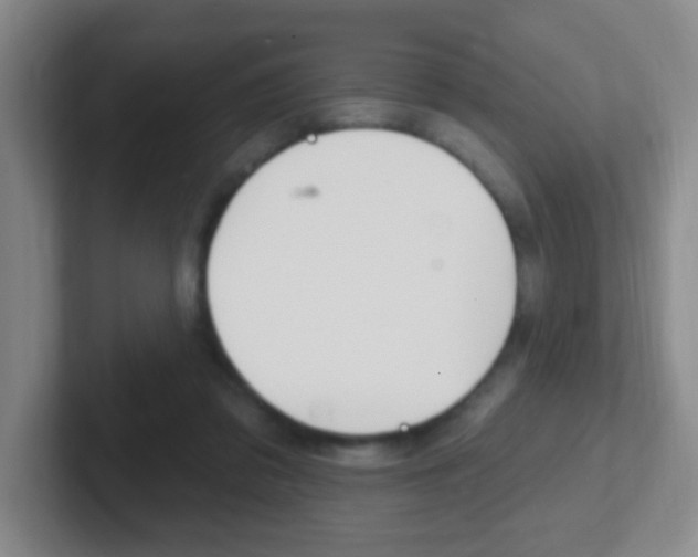 X0000102310309200807251046