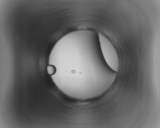 X0000102310311200807251046