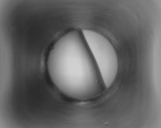 X0000102310312200807251046