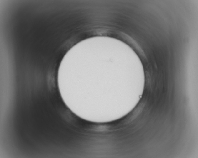 X0000102310313200807251046