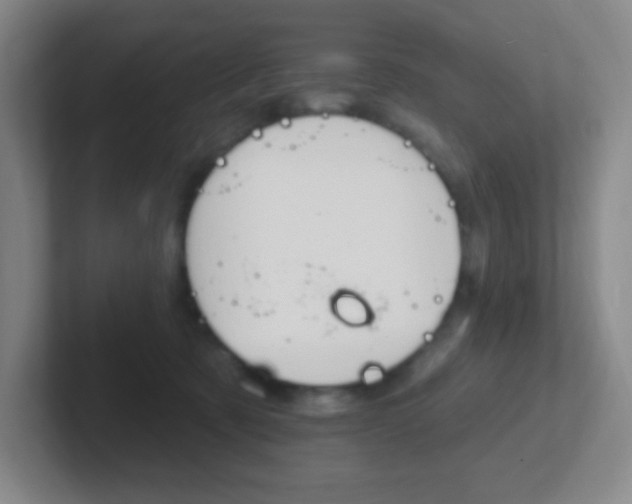 X0000102310321200807251046