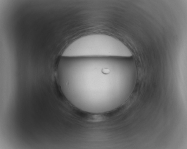 X0000102310324200807251046