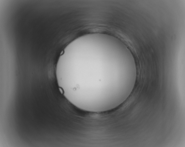 X0000102310325200807251046